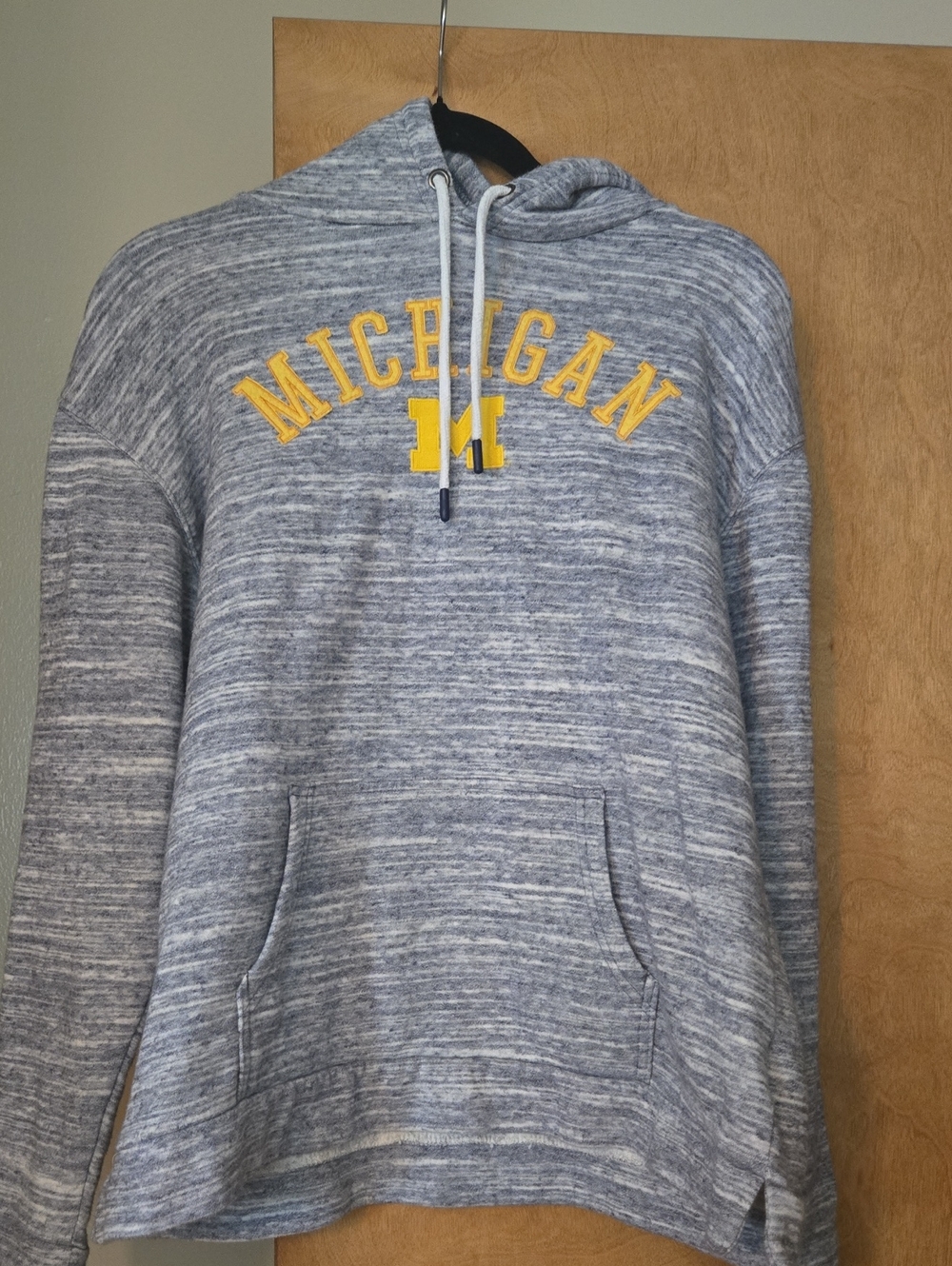 Champion Michigan Hoodie Sweatshirt